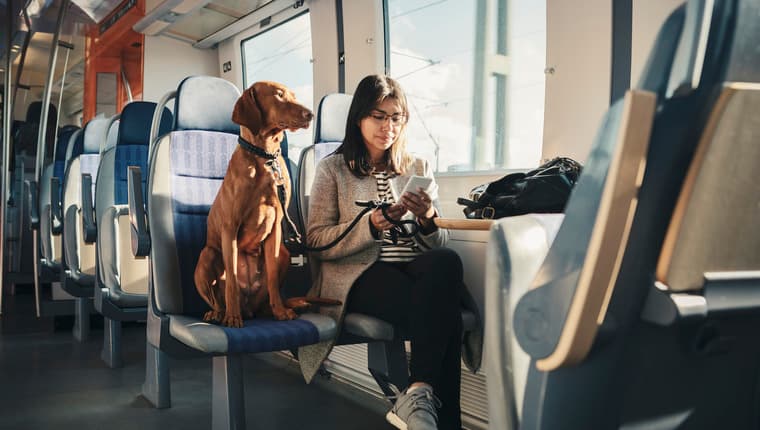 Cómo Viajar en Tren Con Perros