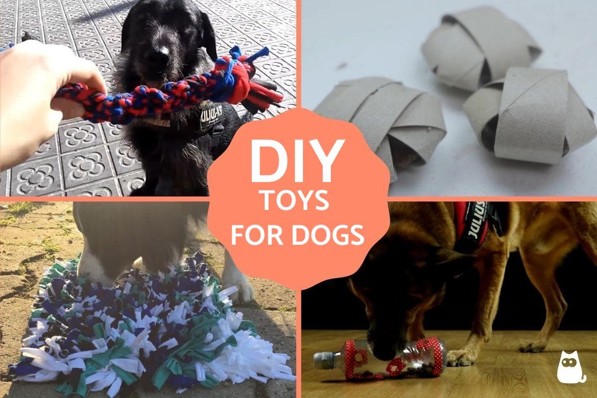 Juguetes De Bricolaje Fáciles Para Perros