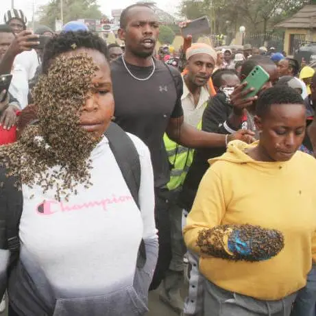 Ladrones Atacados Por Abejas: Una Historia De Justicia Sobrenatural