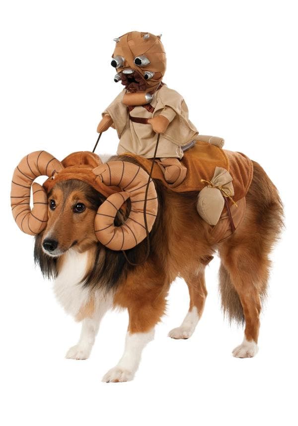 Los Mejores Disfraces De Star Wars Para Perros
