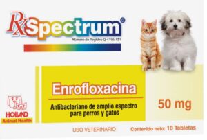 Enrofloxacina Para Perros Dosis, Usos Y Efectos Secundarios