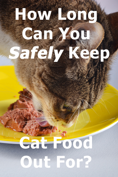 ¿Durante cuánto tiempo se puede mantener fuera la comida para gatos de forma segura?