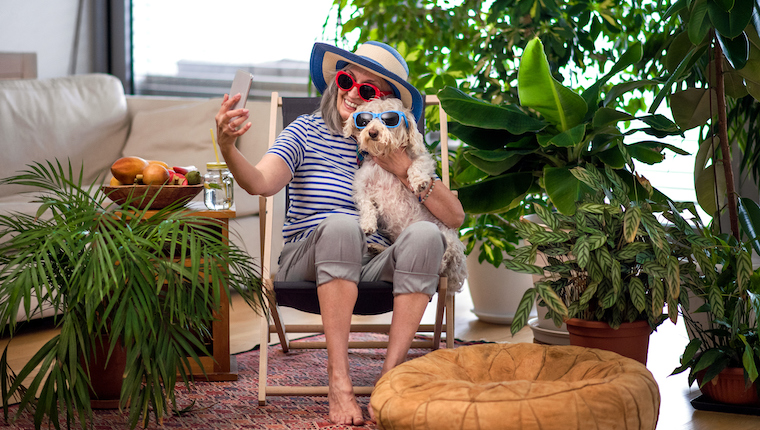 ¿Irse De Vacaciones? Deja Que Tu Perro Se Desestrese Contigo ¿irse De Vacaciones? Deja Que Tu Perro Se Desestrese Contigo