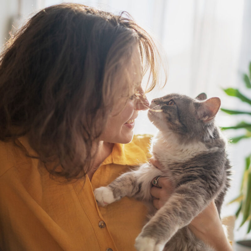 ¿Por Qué Mi Gato Me Lame La Cara? ¿por Qué Mi Gato Me Lame La Cara?