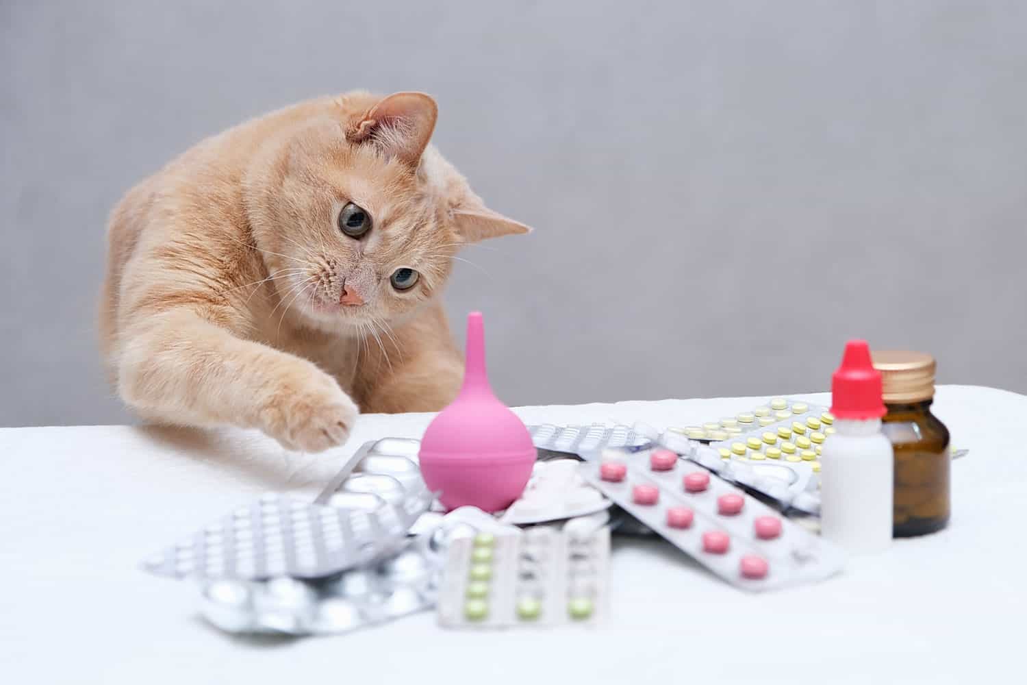 Un gato pelirrojo sentado frente a un montón de medicamentos y jugando con un enema médico de goma. Concepto de tratamiento de mascotas.
