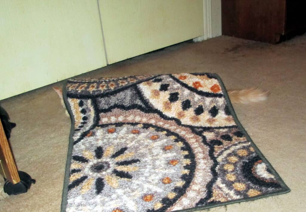 Gatito escondido debajo de la alfombra de una puerta