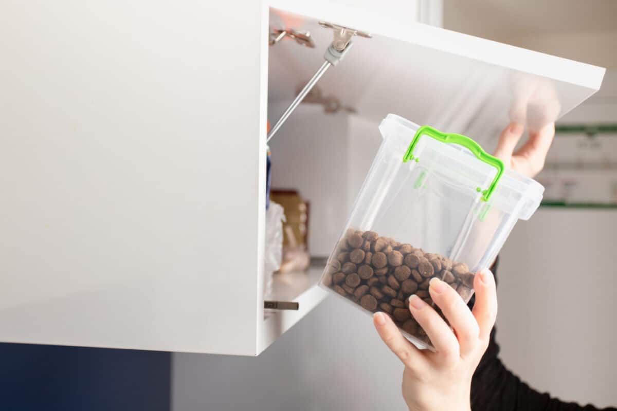 Caja con croquetas guardadas en un mueble de cocina