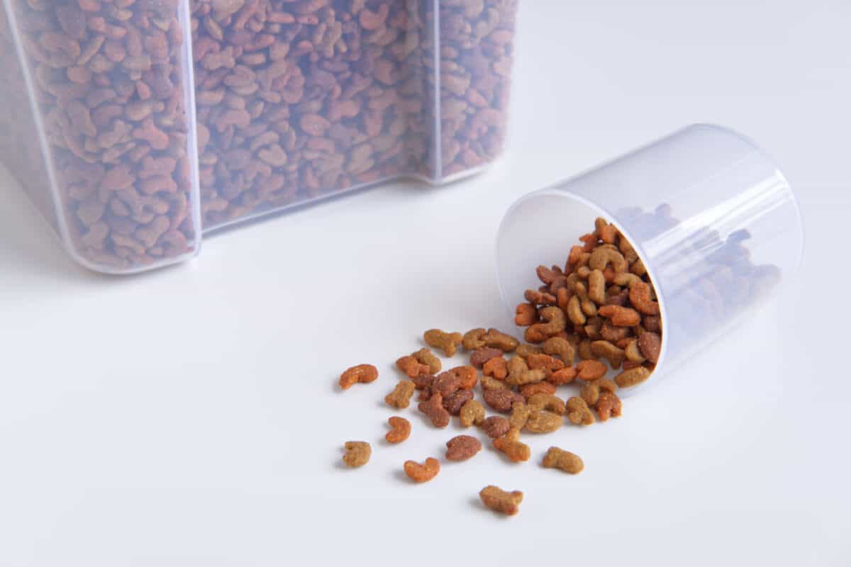 Comida seca para gatos en caja y vaso medidor