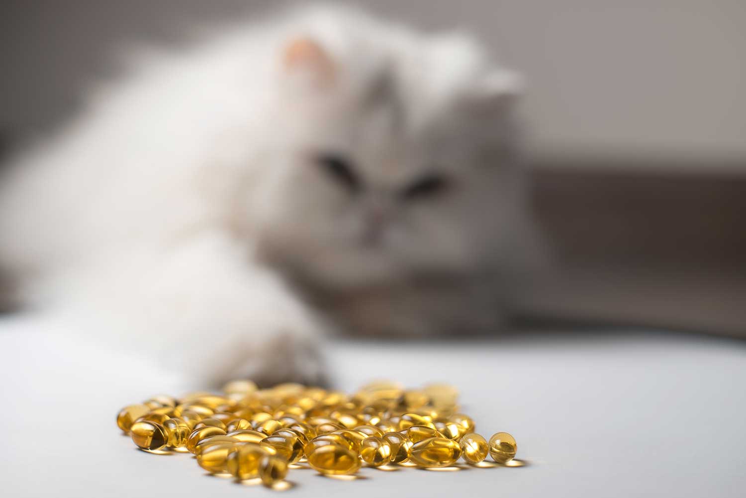 Varias cápsulas de aceite de pescado con un gato curioso al fondo.