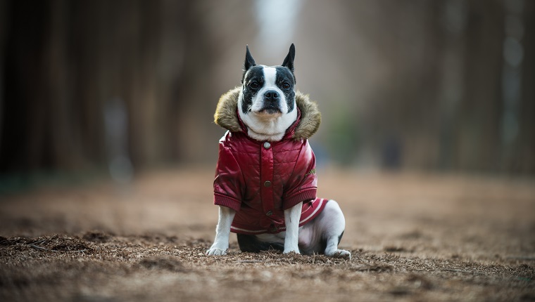 Una chaqueta