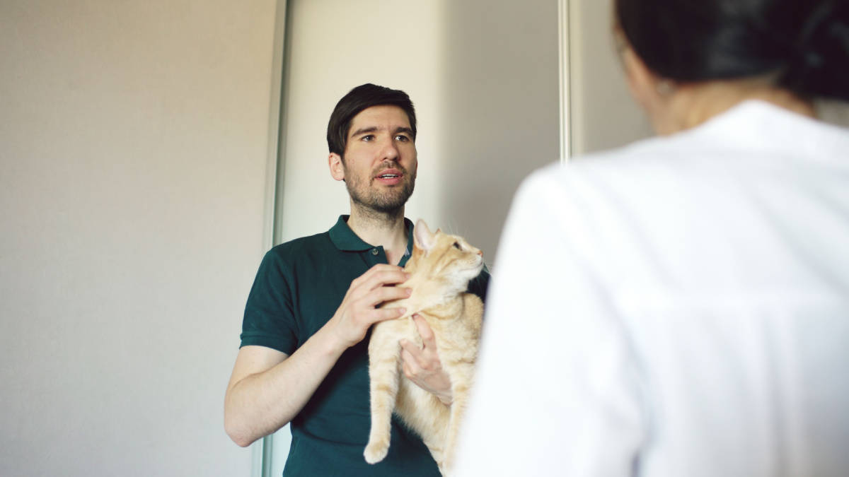Hombre dueño de un gato hablando con una mujer mientras sostiene a su gato pelirrojo