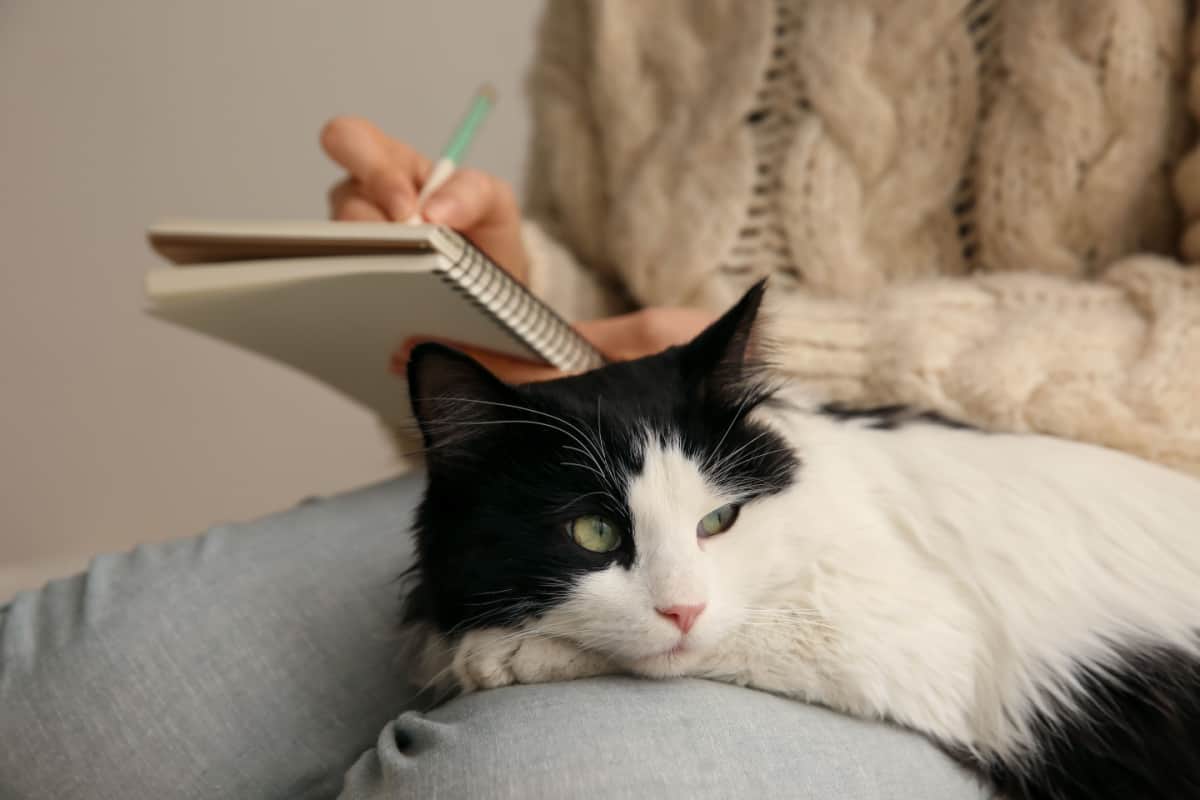Mujer tomando notas/escribiendo mientras su gato está en su regazo