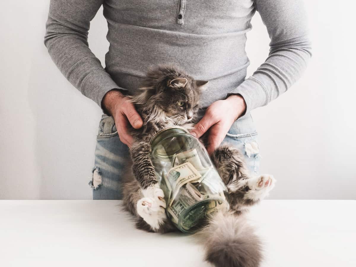 Hombre con una alcancía en forma de frasco con dinero dentro y un lindo gato