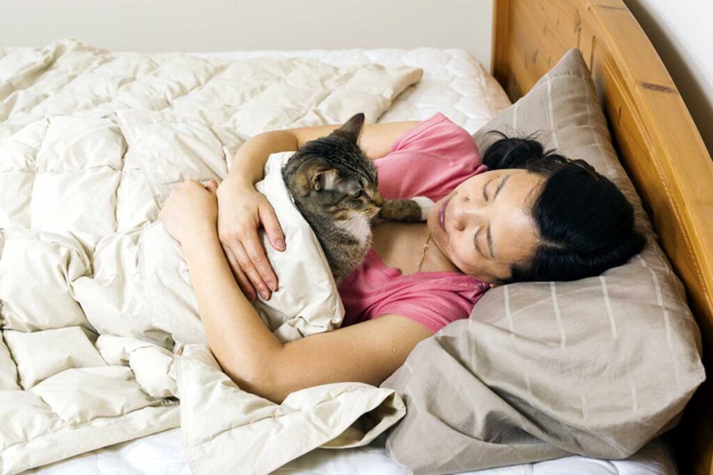 Gato durmiendo en la cama de sus dueños