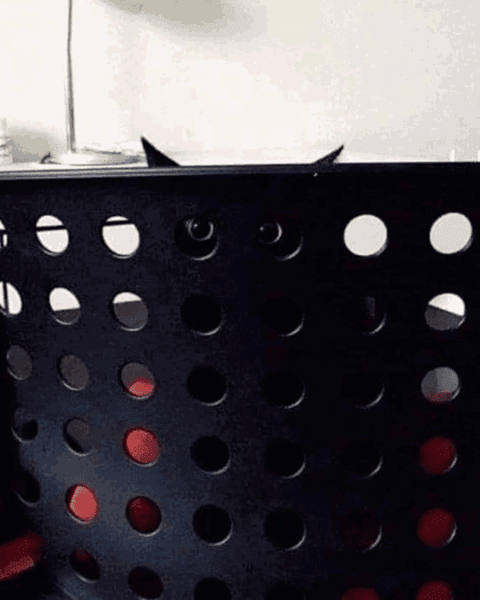 un gato negro asomando por los agujeros del cesto de la ropa negra