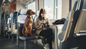 Cómo Viajar en Tren Con Perros