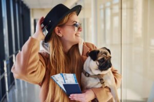 Consejos Para Viajar Con Perros