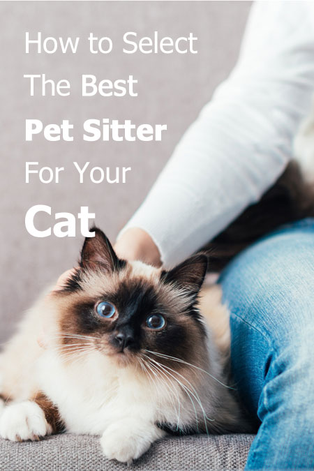 Seleccionar El Mejor Cuidador De Mascotas