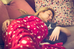 ¿cómo Eligen Los Gatos Con Quién Dormir?