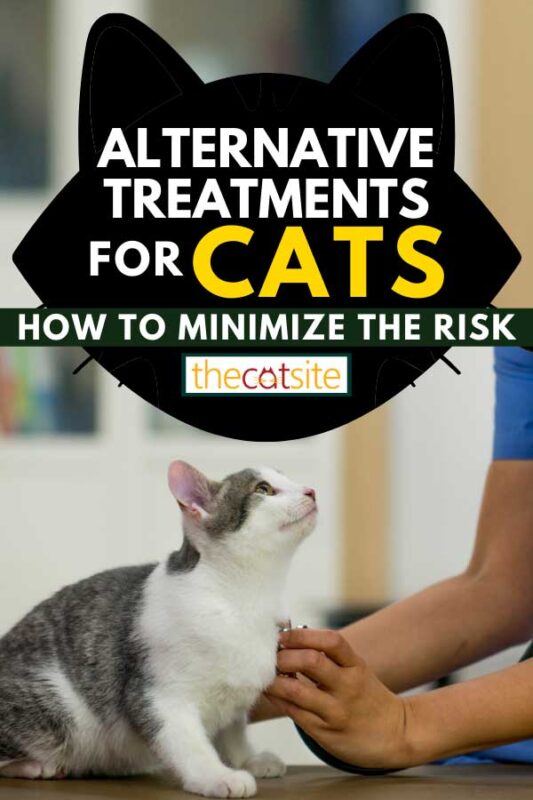 ¿son Seguros Los Tratamientos Alternativos Para Los Gatos?