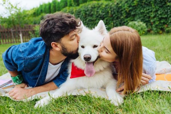 ¿A los perros les gustan los besos? - Besos de perros- ¿Por qué besamos a los perros?