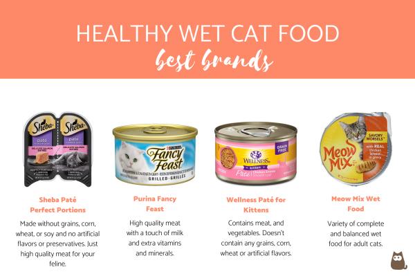 ¿Cuál es la comida húmeda para gatos más saludable? - Las mejores marcas de comida húmeda para gatos