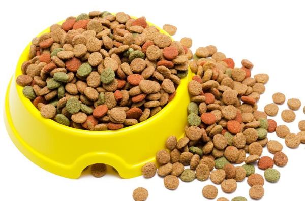 ¿Cuánta comida debe comer un Akita americano? - Requerimientos nutricionales del Akita americano