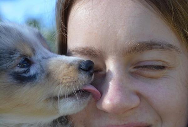 ¿Es una buena idea ser copropietario de un perro?  - La copropiedad del perro desde la perspectiva del perro.
