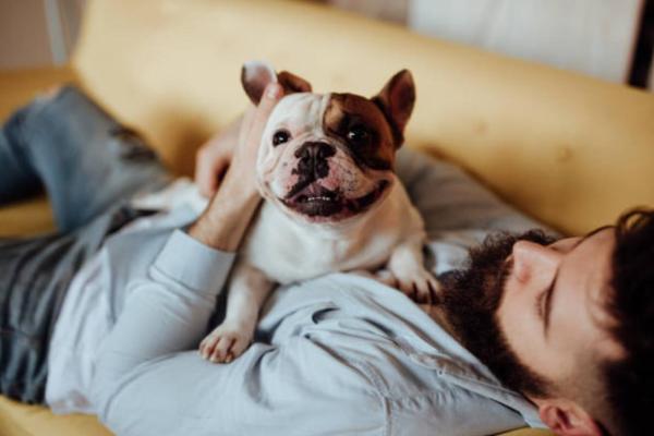 ¿Por qué tu perro ladra cuando besas a otra persona?  - Amenaza percibida para la posición del paquete