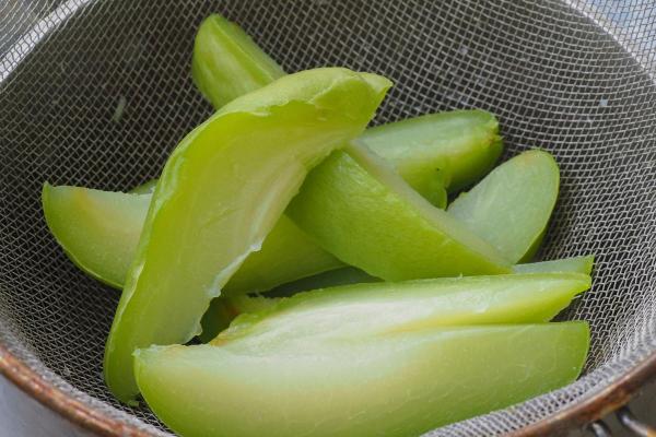 ¿Pueden los gatos comer chayote? - Como darle chayote a mi gato