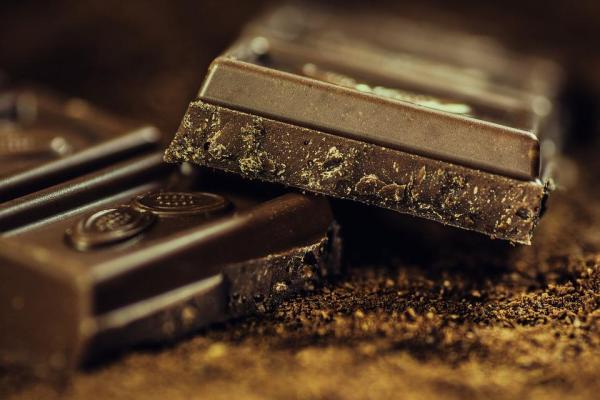 ¿Pueden los gatos comer chocolate?  - ¿Pueden los gatos comer chocolate?