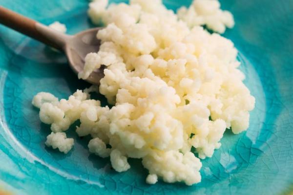 ¿Pueden los perros comer kéfir? - ¿Qué es el kéfir?