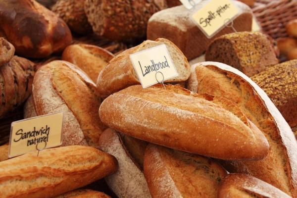 ¿Pueden los perros comer pan? - ¿Es mala idea darles pan a los perros?