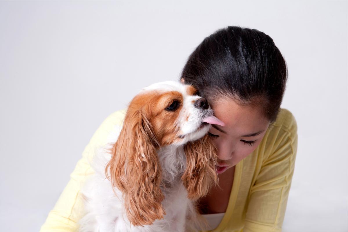 ¿Los Perros Piensan Que Los Humanos Son Sus Padres? ¿los Perros Piensan Que Los Humanos Son Sus Padres?
