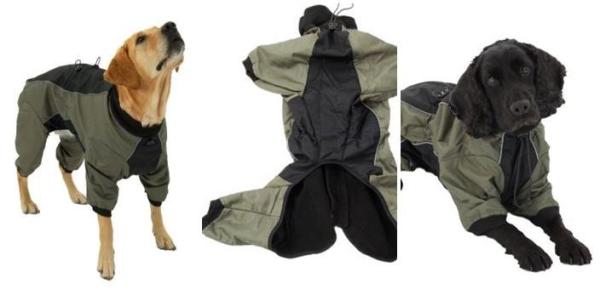 Pasear a tu perro bajo la lluvia - Accesorios necesarios