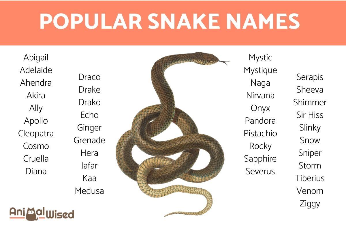 Nombres Para Serpientes