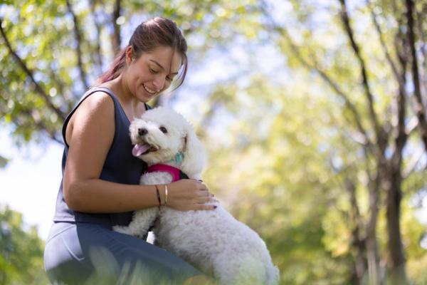 ¿Por qué tu perro ladra cuando besas a otra persona?  - Deseo de atención