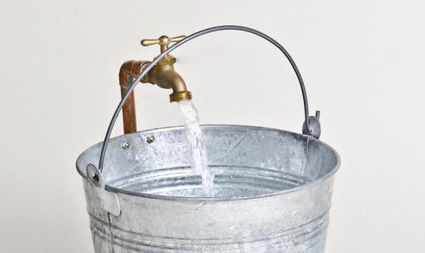 Guía paso a paso para bañar a un hurón - Paso 3