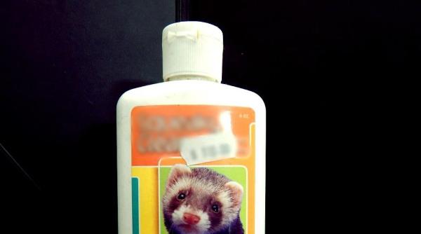 Guía paso a paso para bañar a un hurón - Paso 2