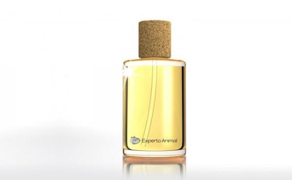 Cómo hacer perfume casero para perros - Cómo hacer perfume para perros:
