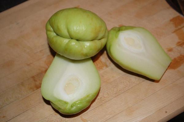¿Pueden los perros comer chayote? - Efectos secundarios del chayote para perros