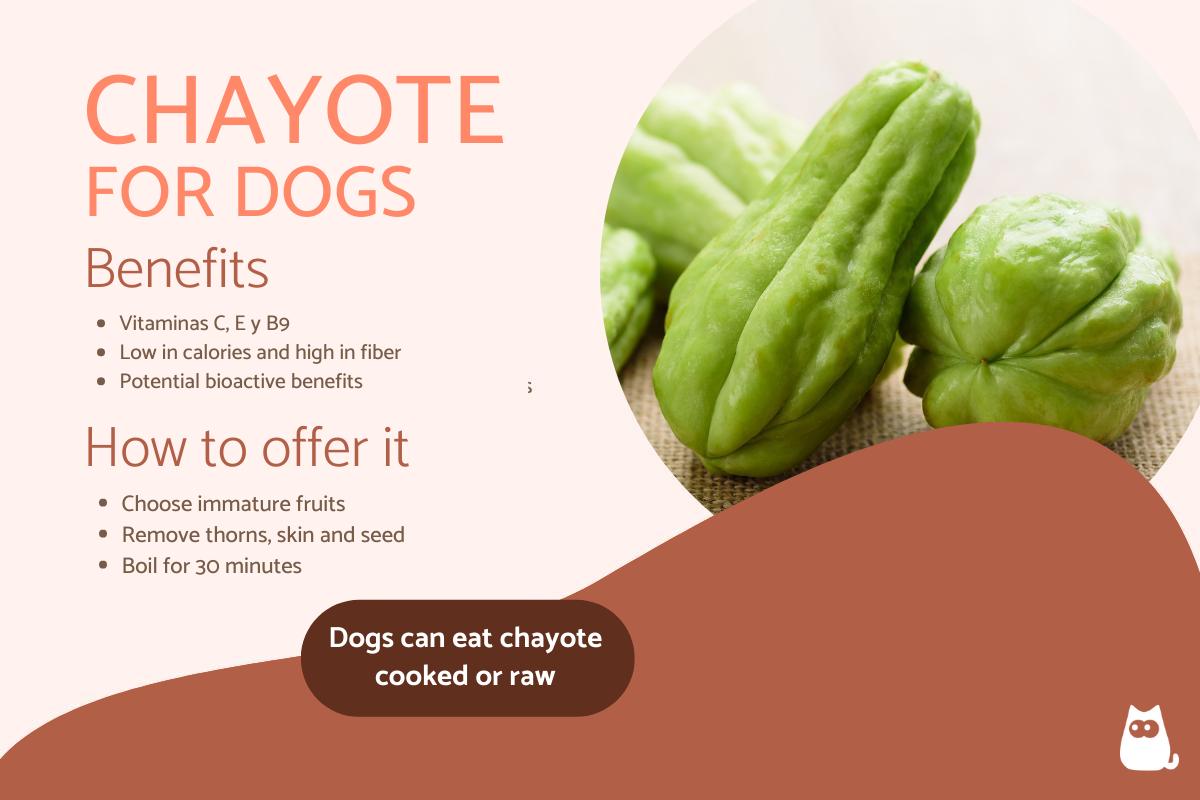 ¿pueden Los Perros Comer Chayote?