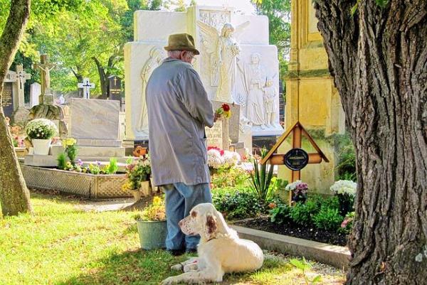 ¿Los perros extrañan a sus dueños cuando ya no están? - ¿Los perros extrañan a sus dueños originales?