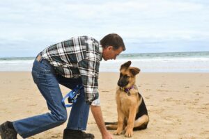 Errores Comunes en El Adiestramiento De Cachorros