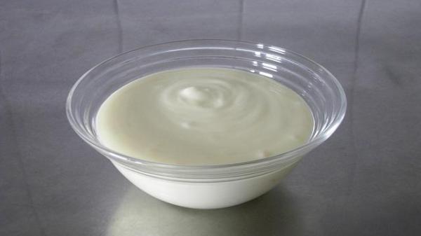 ¿Pueden los gatos comer yogur? - Beneficios y Contraindicaciones - ¿Qué tipo de yogur le puedo dar a mi gato?
