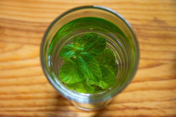 Infusiones de hierbas para perros - Infusión de hierbas de albahaca