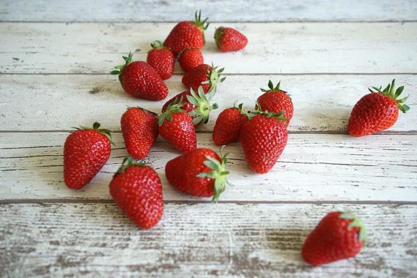 ¿Pueden los conejos comer fresas? - Cómo regalar fresas a los conejos.