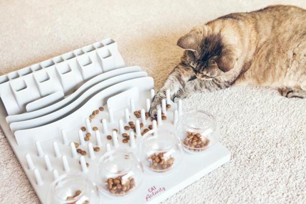 Tipos de comederos y tazones de comida para gatos - 3. Comedero interactivo para gatos