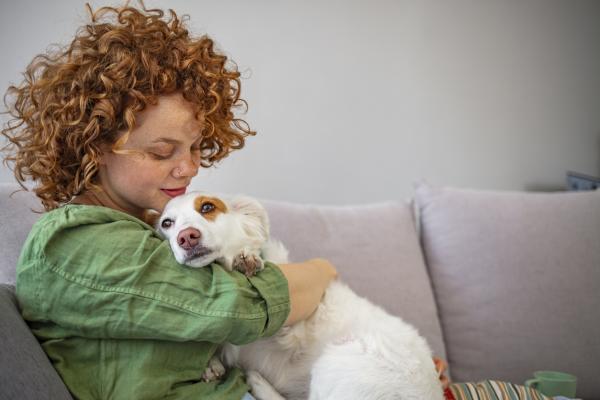 ¿Por qué a mi perro le gusta sentarse encima de mí? - 5. No pasamos suficiente tiempo con ellos.