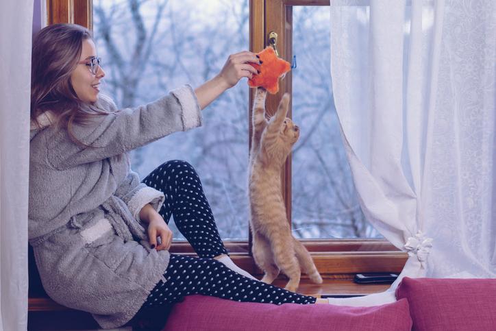 Cómo Jugar Con Un Gato: ¡juegos Divertidos Para Crear Vínculos Con Tu Gato! Cómo Jugar Con Un Gato: ¡juegos Divertidos Para Crear Vínculos